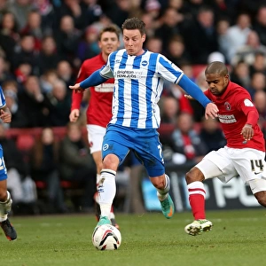 Will Hoskins in Action: Brighton & Hove Albion vs Charlton Athletic, December 8, 2012