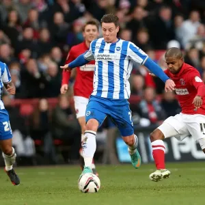 Will Hoskins in Action: Brighton & Hove Albion vs Charlton Athletic, December 8, 2012