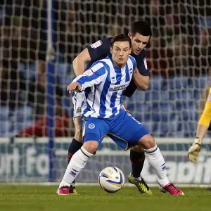 Hoskins Electrifying Performance: Brighton & Hove Albion vs. Blackburn Rovers, Npower Championship Clash at Amex Stadium (February 12, 2013) Hoskins Electrifying Performance: Brighton & Hove Albion vs. Blackburn Rovers, Npower Championship Clash at Amex Stadium (February 12, 2013)