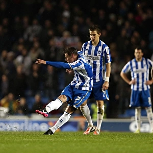Will Hoskins Fires at Bolton Wanderers in Npower Championship Clash at Brighton & Hove Albion's Amex Stadium (November 24, 2012)