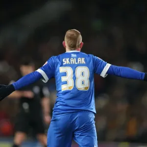 Hull City vs. Brighton and Hove Albion: Intense Championship Clash at KC Stadium (16 February 2016) Hull City vs. Brighton and Hove Albion: Intense Championship Clash at KC Stadium (16 February 2016)