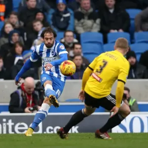 Inigo Calderon in Action: Brighton & Hove Albion vs. Brentford, Sky Bet Championship (17 January 2015)