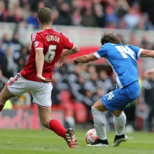 Inigo Calderon in Action: Middlesbrough vs. Brighton & Hove Albion, May 2015