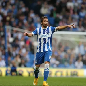 Inigo Calderon Points the Way: Brighton and Hove Albion vs. Middlesbrough, October 18, 2014 Inigo Calderon Points the Way: Brighton and Hove Albion vs. Middlesbrough, October 18, 2014