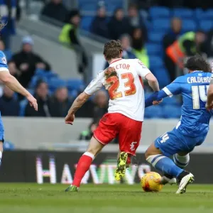 Inigo Calderon Scores His Second Goal Against Birmingham City (21FEB15) - Brighton & Hove Albion FC Inigo Calderon Scores His Second Goal Against Birmingham City (21FEB15) - Brighton & Hove Albion FC