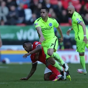 Intense Championship Clash: Charlton Athletic vs. Brighton & Hove Albion (23APR16) Intense Championship Clash: Charlton Athletic vs. Brighton & Hove Albion (23APR16)