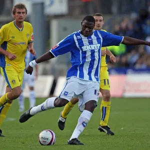 Intense Championship Clash: Leeds United vs. Brighton & Hove Albion (2007-08) - Leeds United's Battle in the Championship Intense Championship Clash: Leeds United vs. Brighton & Hove Albion (2007-08) - Leeds United's Battle in the Championship