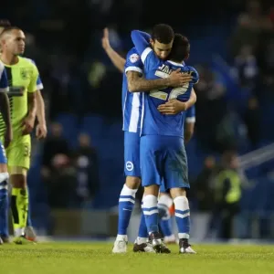 Intense Championship Showdown: Brighton & Hove Albion vs. Huddersfield Town (23rd January 2016) Intense Championship Showdown: Brighton & Hove Albion vs. Huddersfield Town (23rd January 2016)