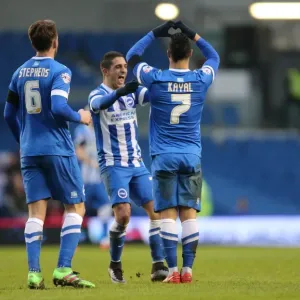 Intense Championship Showdown: Brighton & Hove Albion vs. Bolton Wanderers (13th February 2016) Intense Championship Showdown: Brighton & Hove Albion vs. Bolton Wanderers (13th February 2016)
