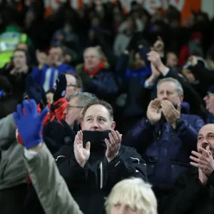 Intense Championship Showdown: Brighton and Hove Albion vs. Hull City (16 February 2016) Intense Championship Showdown: Brighton and Hove Albion vs. Hull City (16 February 2016)