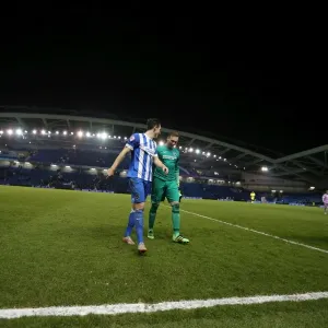 Intense Championship Showdown: Brighton and Hove Albion vs. Reading (15 March 2016) Intense Championship Showdown: Brighton and Hove Albion vs. Reading (15 March 2016)