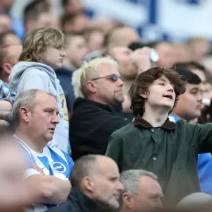Intense Championship Showdown: Brighton and Hove Albion vs. Burnley (April 2016) Intense Championship Showdown: Brighton and Hove Albion vs. Burnley (April 2016)