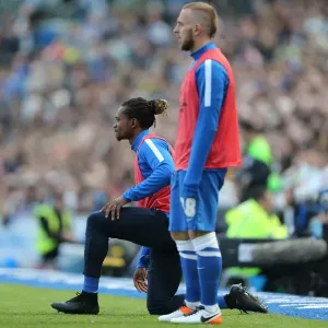 Intense Championship Showdown: Brighton and Hove Albion vs. Burnley (April 2016) Intense Championship Showdown: Brighton and Hove Albion vs. Burnley (April 2016)