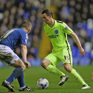 Intense Championship Showdown: Brighton and Hove Albion vs. Birmingham City (05APR16) Intense Championship Showdown: Brighton and Hove Albion vs. Birmingham City (05APR16)