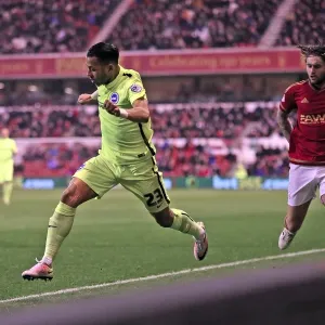 Intense Championship Showdown: Brighton and Hove Albion vs. Nottingham Forest (11APR16) Intense Championship Showdown: Brighton and Hove Albion vs. Nottingham Forest (11APR16)