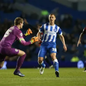 Intense Championship Showdown: Brighton and Hove Albion vs. QPR (19APR16) Intense Championship Showdown: Brighton and Hove Albion vs. QPR (19APR16)
