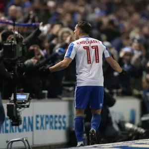 Intense Championship Showdown: Brighton & Hove Albion vs. Sheffield Wednesday (January 2017) Intense Championship Showdown: Brighton & Hove Albion vs. Sheffield Wednesday (January 2017)