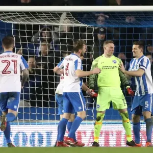 Intense Championship Showdown: Brighton & Hove Albion vs. Sheffield Wednesday (January 2017) Intense Championship Showdown: Brighton & Hove Albion vs. Sheffield Wednesday (January 2017)