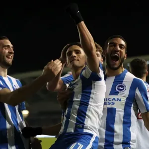 Intense Championship Showdown: Brighton and Hove Albion vs. Sheffield Wednesday (January 2017) Intense Championship Showdown: Brighton and Hove Albion vs. Sheffield Wednesday (January 2017)