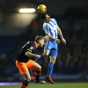 Intense Championship Showdown: Brighton and Hove Albion vs. Sheffield Wednesday (January 2017) Intense Championship Showdown: Brighton and Hove Albion vs. Sheffield Wednesday (January 2017)