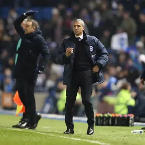 Intense Championship Showdown: Brighton & Hove Albion vs. Sheffield Wednesday (January 2017) Intense Championship Showdown: Brighton & Hove Albion vs. Sheffield Wednesday (January 2017)