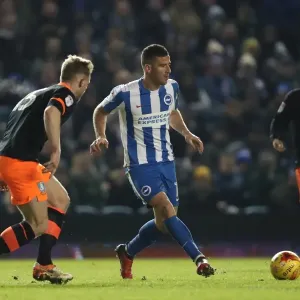 Intense Championship Showdown: Brighton & Hove Albion vs. Sheffield Wednesday (January 2017) Intense Championship Showdown: Brighton & Hove Albion vs. Sheffield Wednesday (January 2017)