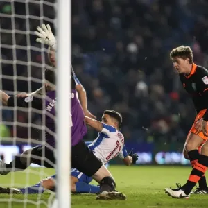 Intense Championship Showdown: Brighton and Hove Albion vs. Sheffield Wednesday (January 2017) Intense Championship Showdown: Brighton and Hove Albion vs. Sheffield Wednesday (January 2017)