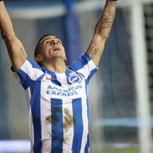 Intense Championship Showdown: Brighton & Hove Albion vs. Sheffield Wednesday (January 2017) Intense Championship Showdown: Brighton & Hove Albion vs. Sheffield Wednesday (January 2017)