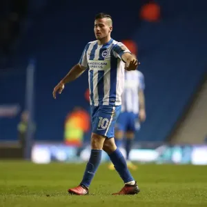 Intense Championship Showdown: Brighton & Hove Albion vs. Sheffield Wednesday (January 2017) Intense Championship Showdown: Brighton & Hove Albion vs. Sheffield Wednesday (January 2017)
