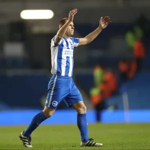 Intense Championship Showdown: Brighton and Hove Albion vs. Sheffield Wednesday (January 2017) Intense Championship Showdown: Brighton and Hove Albion vs. Sheffield Wednesday (January 2017)