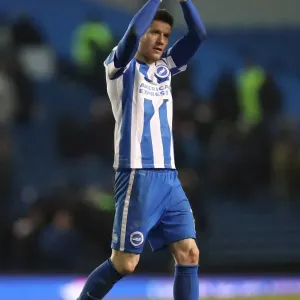 Intense Championship Showdown: Brighton and Hove Albion vs. Sheffield Wednesday (January 2017) Intense Championship Showdown: Brighton and Hove Albion vs. Sheffield Wednesday (January 2017)