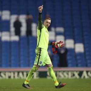 Intense Championship Showdown: Brighton and Hove Albion vs. Sheffield Wednesday (January 2017) Intense Championship Showdown: Brighton and Hove Albion vs. Sheffield Wednesday (January 2017)