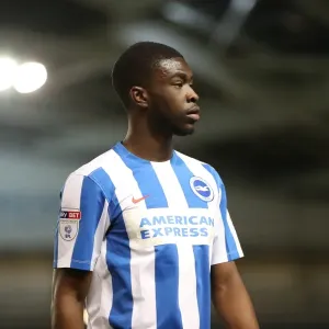 Intense Championship Showdown: Brighton and Hove Albion vs. Reading (25FEB17) Intense Championship Showdown: Brighton and Hove Albion vs. Reading (25FEB17)