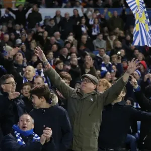 Intense Championship Showdown: Brighton and Hove Albion vs. Reading (25FEB17) Intense Championship Showdown: Brighton and Hove Albion vs. Reading (25FEB17)