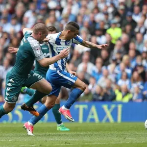 Intense Championship Showdown: Brighton and Hove Albion vs. Wigan Athletic (17APR17) Intense Championship Showdown: Brighton and Hove Albion vs. Wigan Athletic (17APR17)