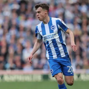 Intense Championship Showdown: Brighton and Hove Albion vs. Bristol City (29APR17)