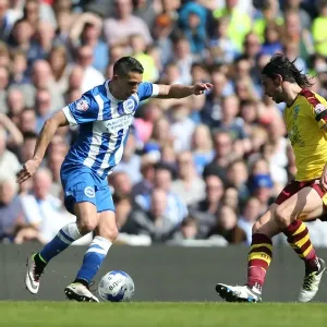 Intense Championship Showdown: Brighton and Hove Albion vs Burnley (April 2016) Intense Championship Showdown: Brighton and Hove Albion vs Burnley (April 2016)