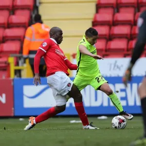 Intense Championship Showdown: Charlton Athletic vs. Brighton and Hove Albion (23APR16) Intense Championship Showdown: Charlton Athletic vs. Brighton and Hove Albion (23APR16)
