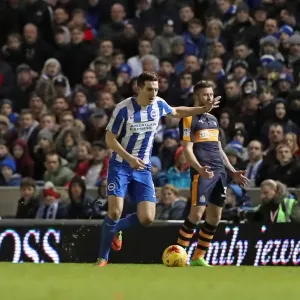 Intense EFL Sky Bet Championship Showdown: Brighton & Hove Albion vs. Newcastle United - 28th February 2017 Intense EFL Sky Bet Championship Showdown: Brighton & Hove Albion vs. Newcastle United - 28th February 2017