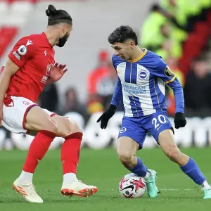 Intense Face-Off: Brighton and Hove Albion vs. Nottingham Forest (Premier League, 26APR23) Intense Face-Off: Brighton and Hove Albion vs. Nottingham Forest (Premier League, 26APR23)