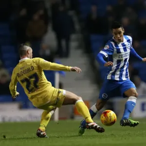 Intense Face-off: Chicksen vs. Millwall (12DEC14) - Brighton & Hove Albion vs. Millwall Championship Match
