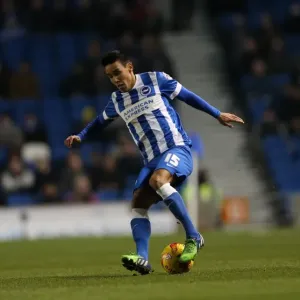 Intense Face-off: Chicksen vs Millwall Player, Brighton & Hove Albion vs Millwall (12DEC14)