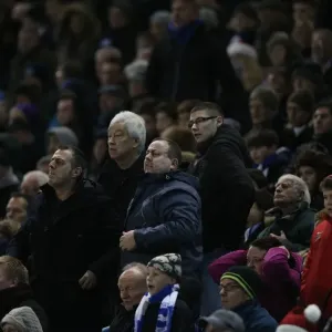 Intense Fan Rivalry: Brighton and Hove Albion vs. Reading (December 2014) - Sky Bet Championship Clash at the American Express Community Stadium Intense Fan Rivalry: Brighton and Hove Albion vs. Reading (December 2014) - Sky Bet Championship Clash at the American Express Community Stadium