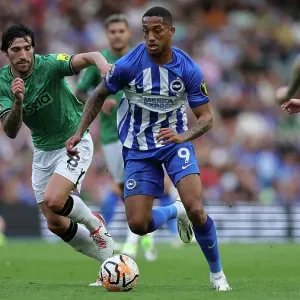 Intense Match Action: Brighton & Hove Albion vs. Newcastle United - 2023/24 Premier League Clash at American Express Stadium Intense Match Action: Brighton & Hove Albion vs. Newcastle United - 2023/24 Premier League Clash at American Express Stadium