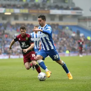 Intense Moment: Beram Kayal Focuses Amidst Championship Clash Between Brighton & Norwich Intense Moment: Beram Kayal Focuses Amidst Championship Clash Between Brighton & Norwich