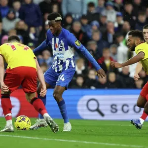 Intense Premier League Battle: Brighton & Hove Albion vs. Sheffield United (12NOV23) Intense Premier League Battle: Brighton & Hove Albion vs. Sheffield United (12NOV23)