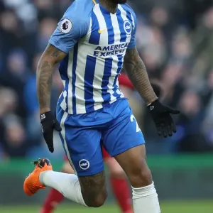 Intense Premier League Clash: Brighton & Hove Albion vs Swansea City (24FEB18) - American Express Community Stadium Intense Premier League Clash: Brighton & Hove Albion vs Swansea City (24FEB18) - American Express Community Stadium
