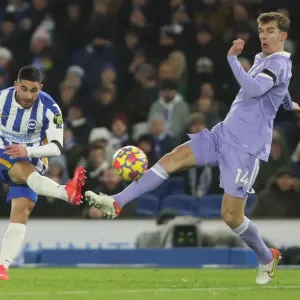 Intense Premier League Clash: Brighton & Hove Albion vs. Leeds United (November 2021) Intense Premier League Clash: Brighton & Hove Albion vs. Leeds United (November 2021)