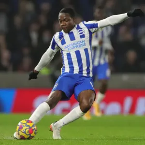 Intense Premier League Clash: Brighton vs. Wolverhampton Wanderers (15DEC21) Intense Premier League Clash: Brighton vs. Wolverhampton Wanderers (15DEC21)