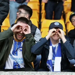 Intense Premier League Clash: Wolverhampton Wanderers vs. Brighton & Hove Albion (5 November 2022)